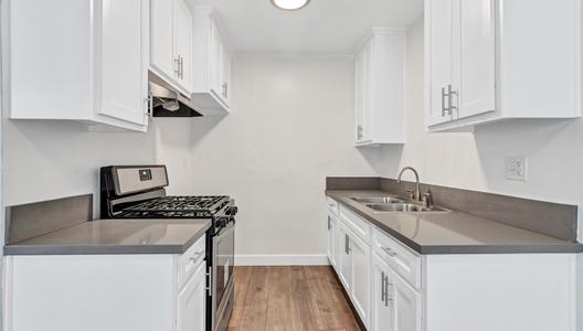 19th Street Apartments Unit 1315-06 photo 4